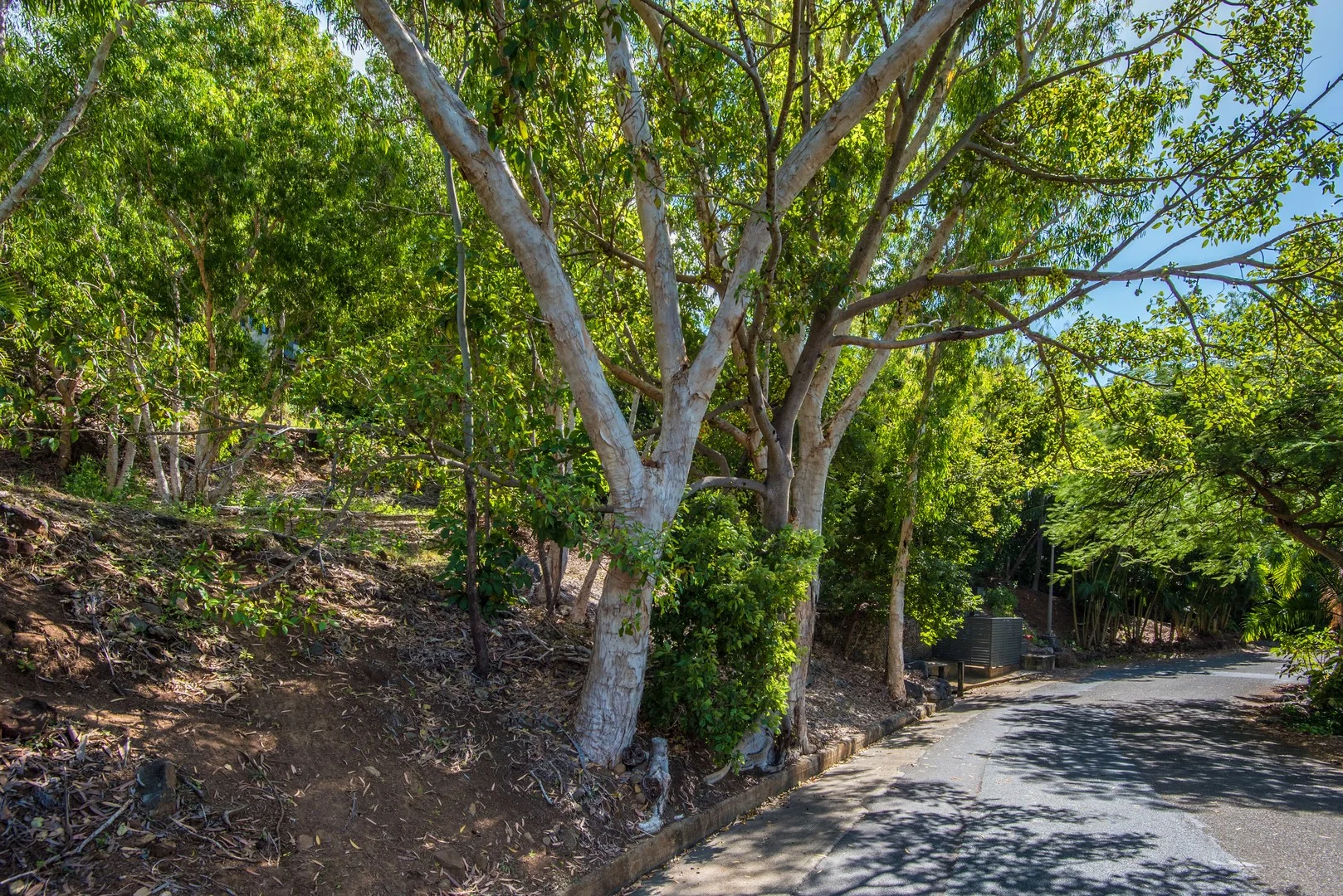 HJ/11 Melaleuca Drive, Hamilton Island QLD 4803