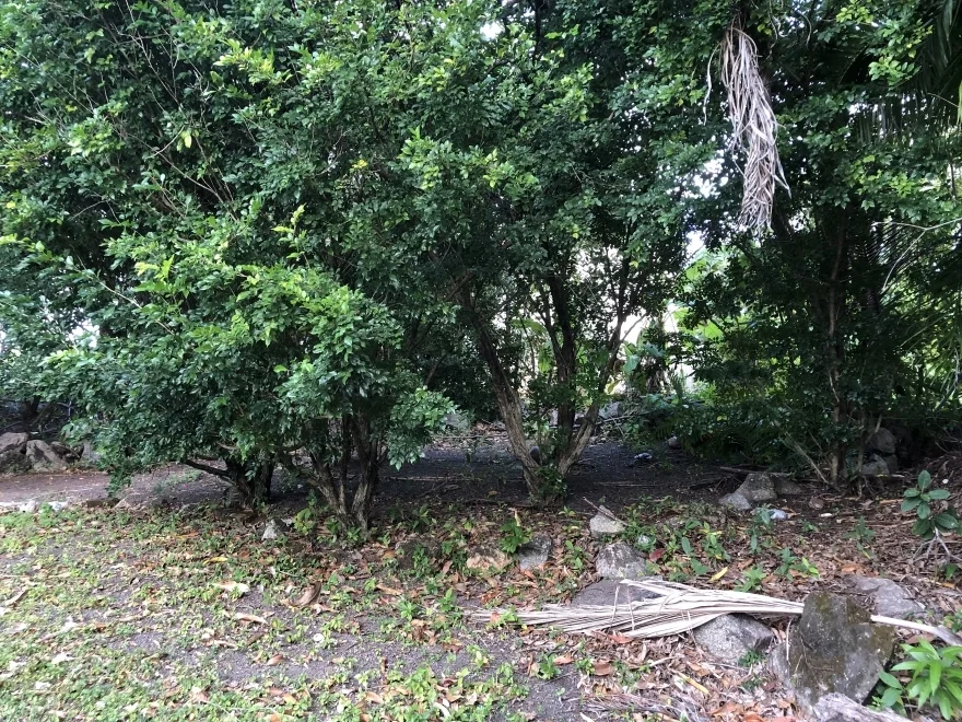 Additional image 19 of 4 Furneaux St, Cooktown QLD 4895