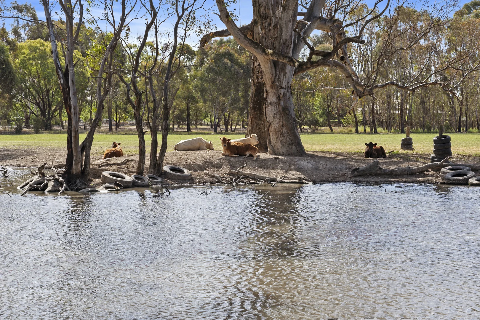 Additional image 17 of 408 Benalla-Yarrawonga Road, Benalla VIC 3672