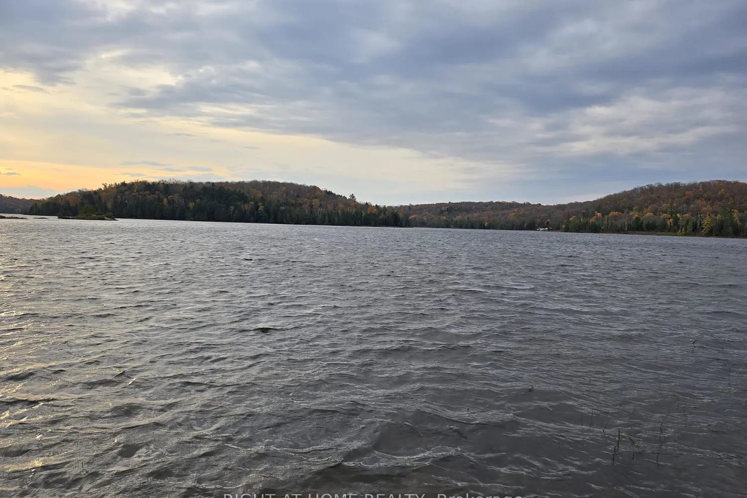 2503 Fern Glen photo 5