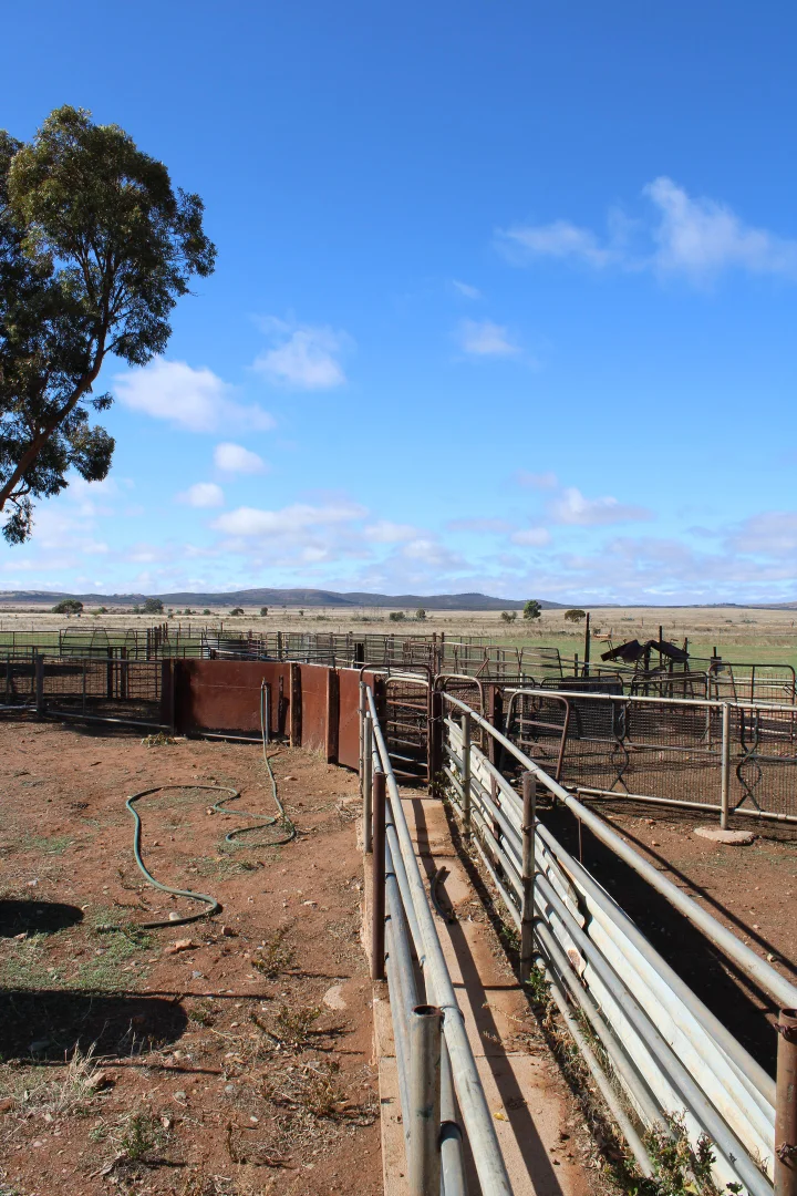 Additional image 24 of "Woodlands" Black Rock Road, Minvalara SA 5422