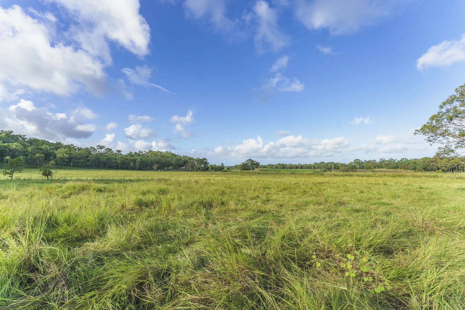 Additional image 20 of 24 Petersen Road, Koumala QLD 4738