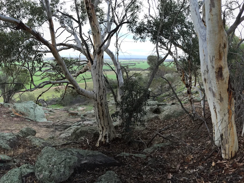 Additional image 37 of Lot 12 Young Road, Gwambygine WA 6302