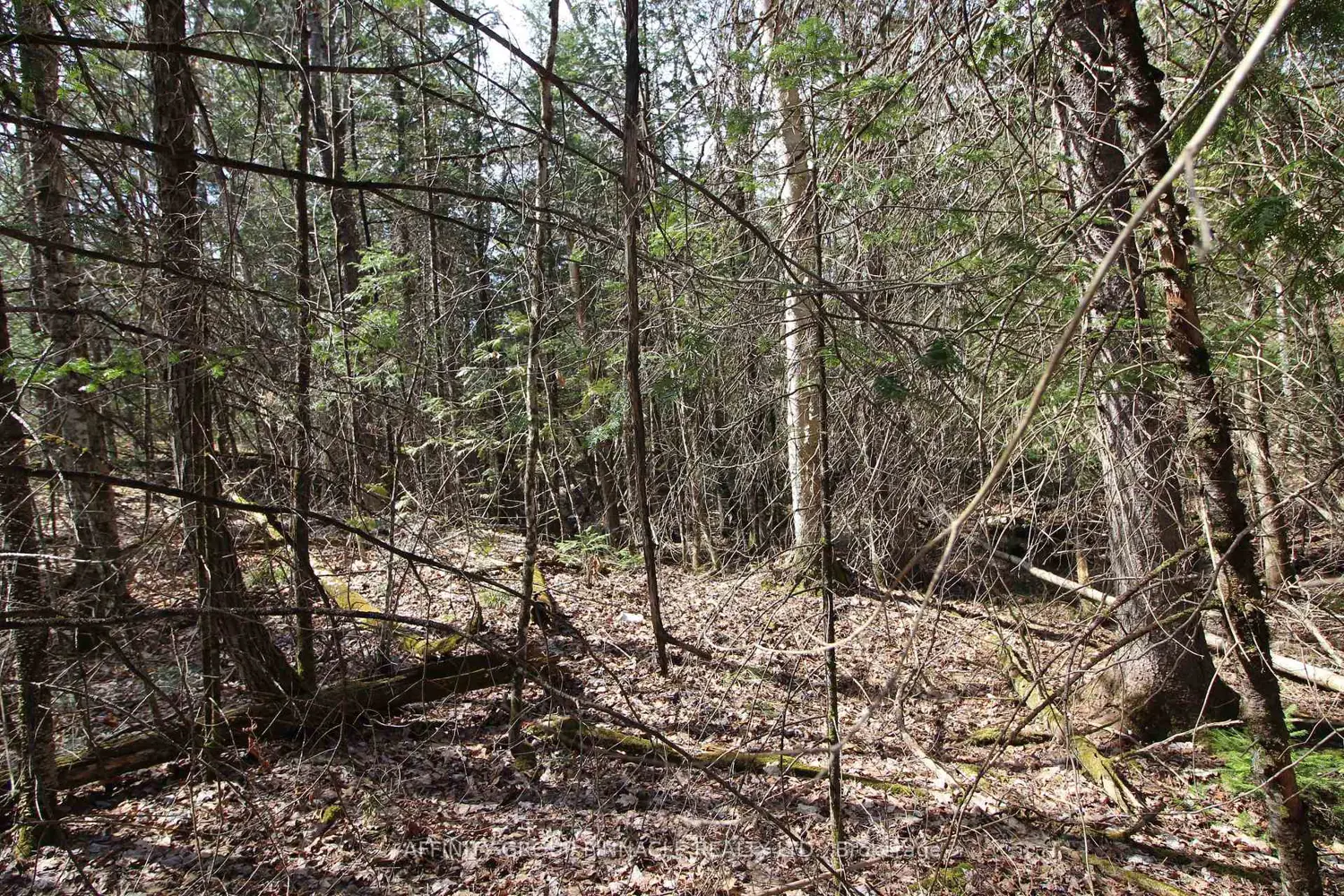 Additional image 3 of Lot 15 Concession 9
