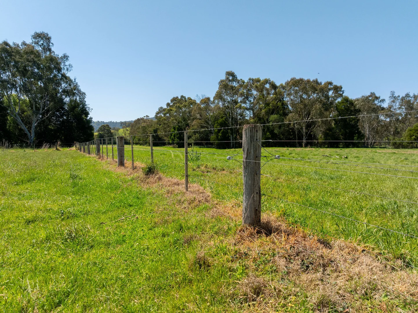 Additional image 25 of 1240 Goulburn Valley Highway, Thornton VIC 3712