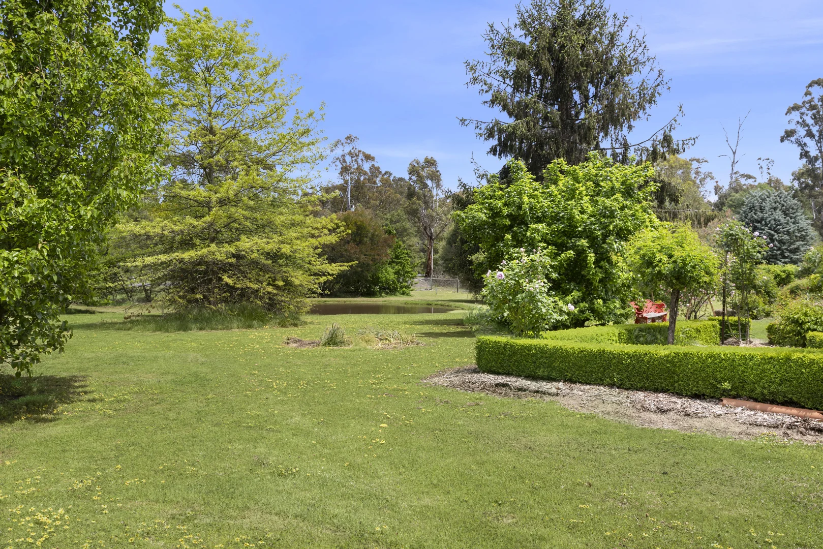 Additional image 2 of 550 Mcdonalds Road, Clonbinane VIC 3658