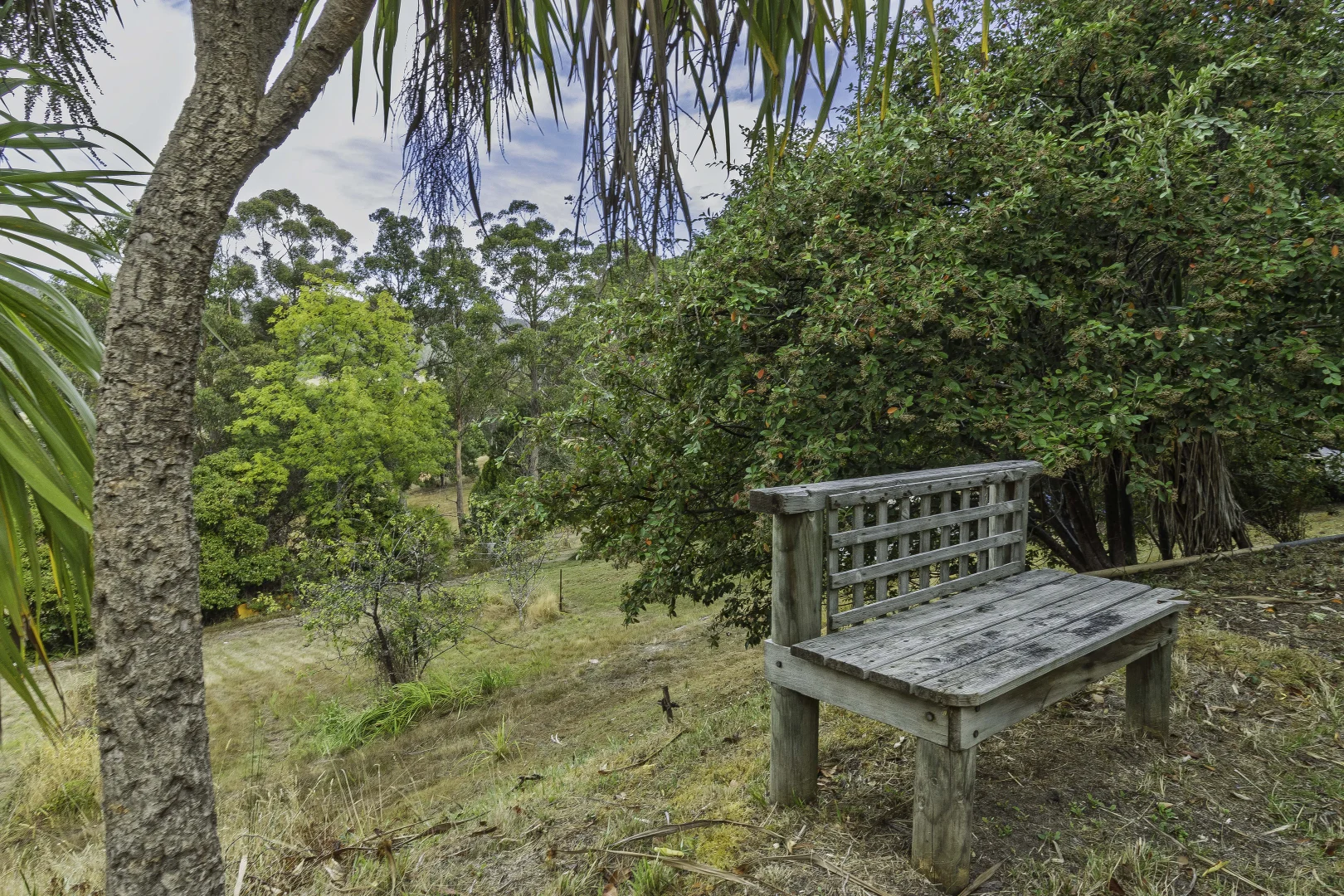 Additional image 28 of 242 Woolleys Road, Lonnavale TAS 7109