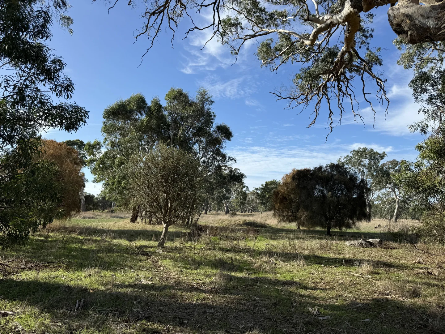 Additional image 11 of Lot 104 Dergholm Road, Penola SA 5277