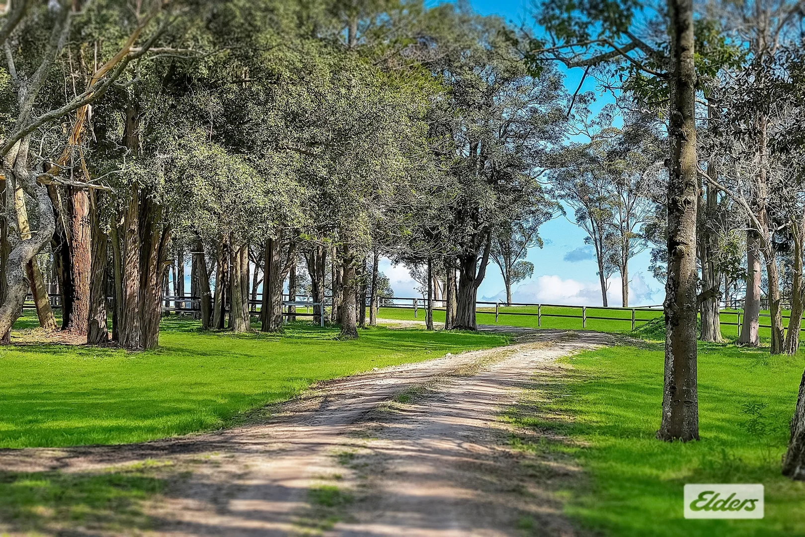 Additional image 8 of 271 Williams Road, Kulnura NSW 2250