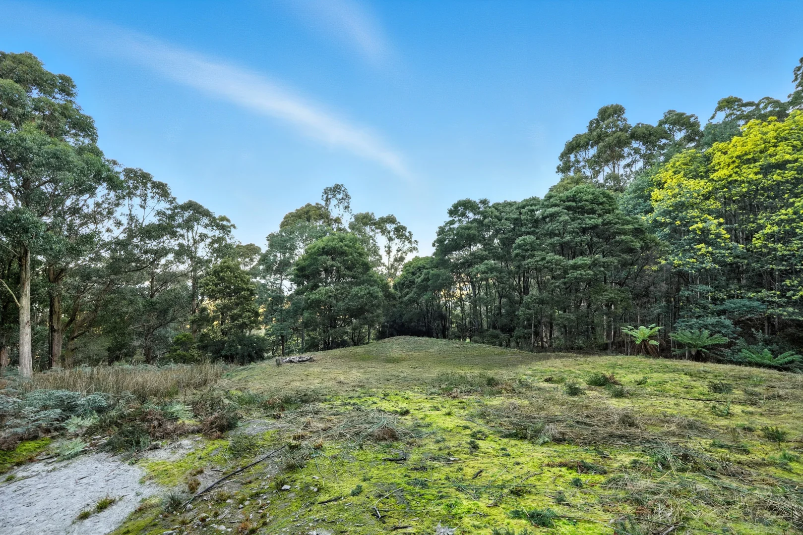 Additional image 9 of 50 McDowall Street, Middleton TAS 7163