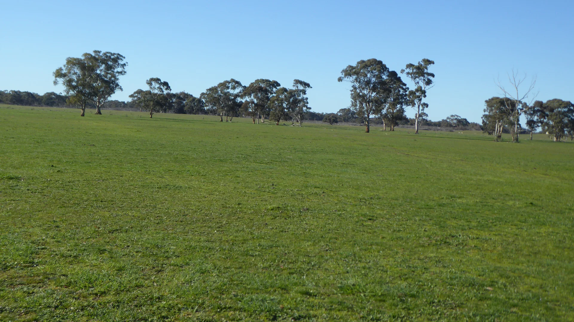 Additional image 3 of 2147 Bangham Road, Frances SA 5262