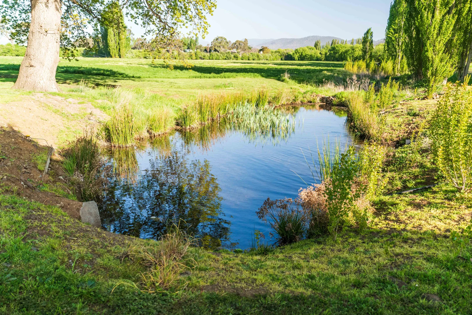 Additional image 23 of 759 Glenora Road, Plenty TAS 7140