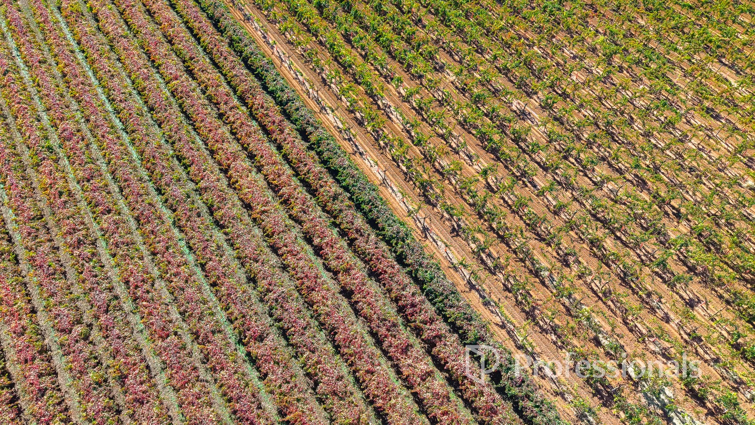 Additional image 17 of 225 Stewart Road, Red Cliffs VIC 3496