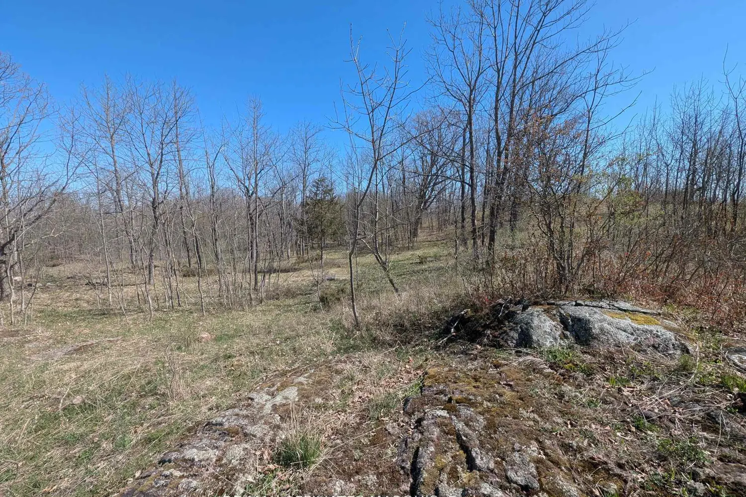 Additional image 11 of 0 Little Crosby Lake Road