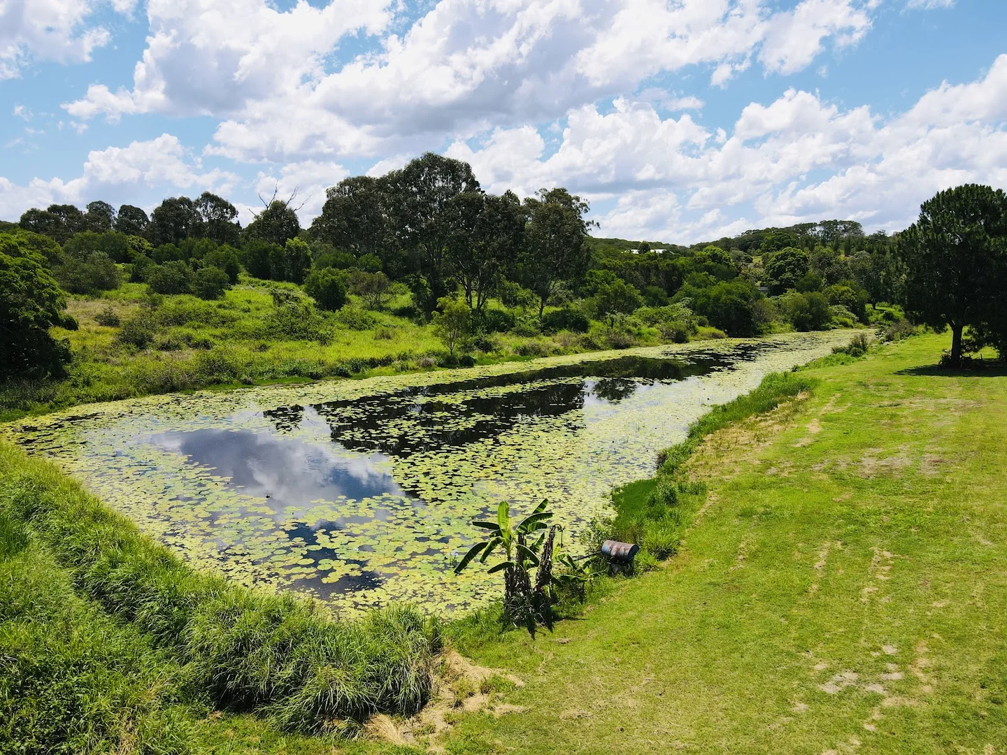 Additional image 17 of 173 ATC Hall Road, North Isis QLD 4660