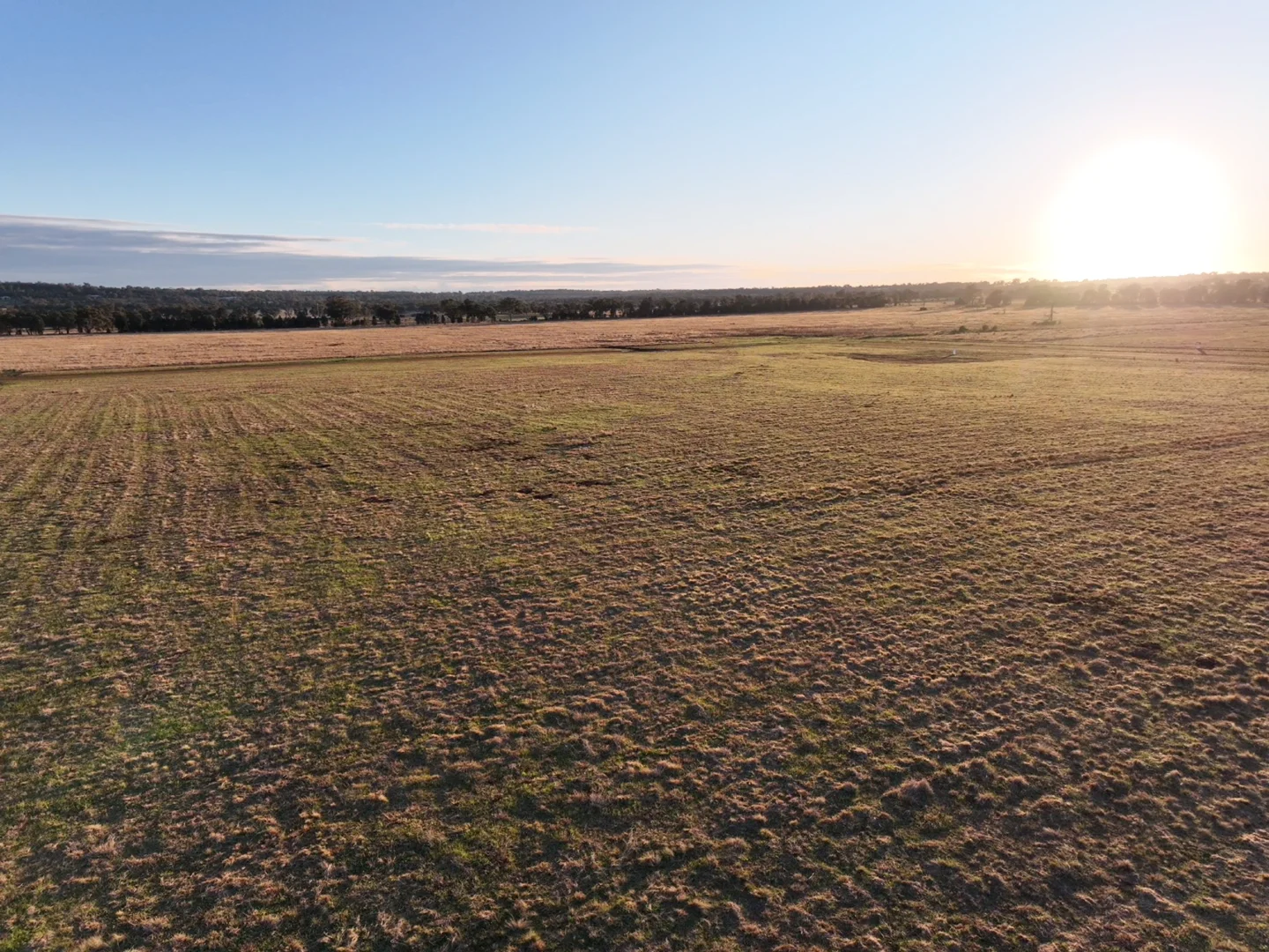 Additional image 17 of Daisy Hill Estate, Eulomogo Road, Dubbo NSW 2830