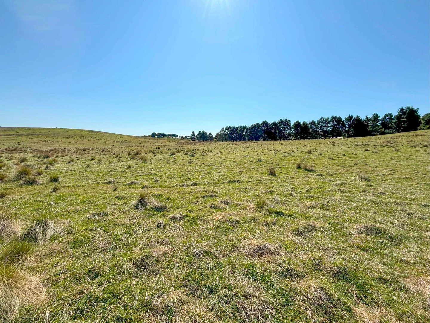 Additional image 2 of 539 Wirreanda Road, Wamboin NSW 2620