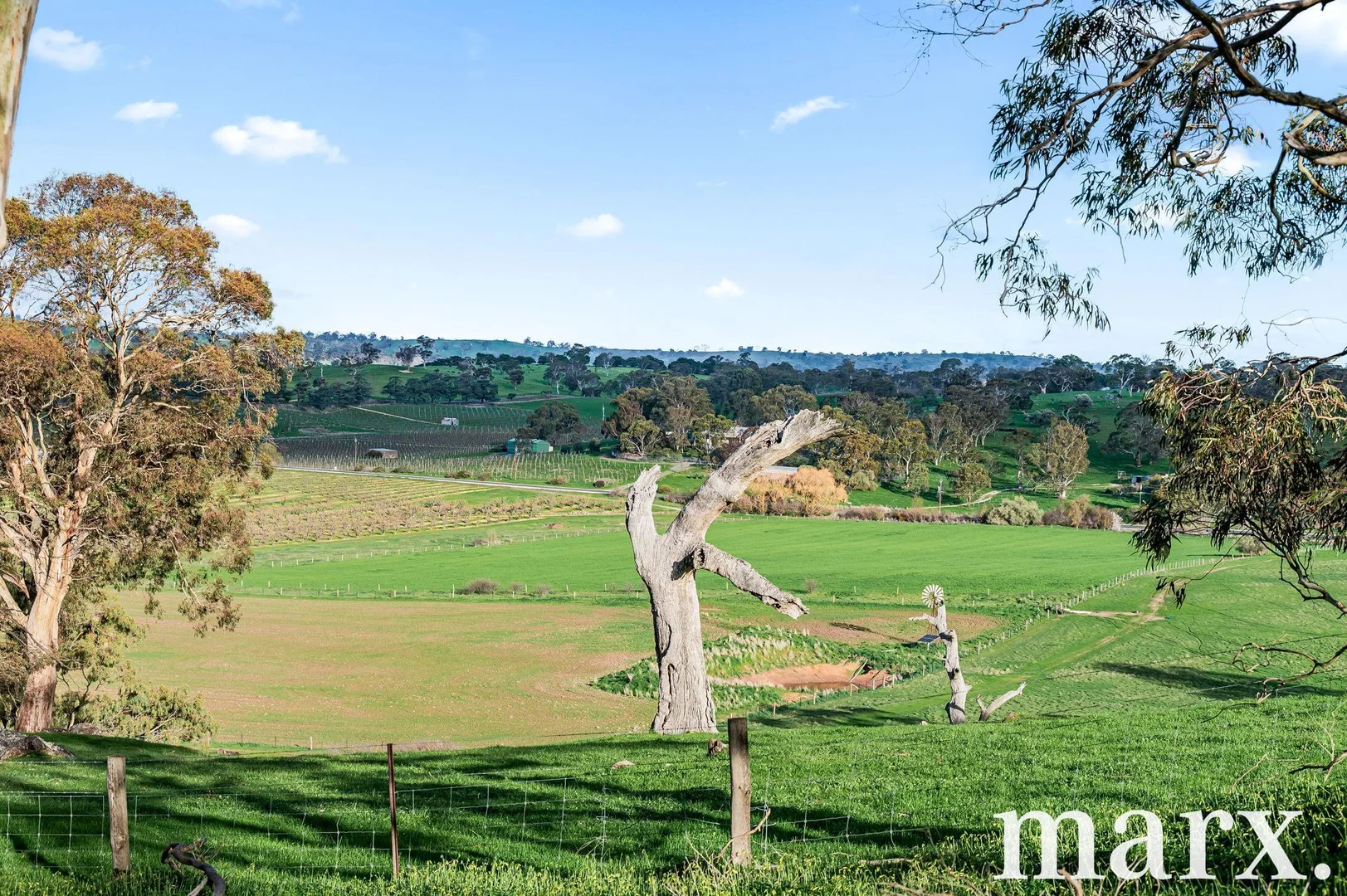 Additional image 25 of 137 Radford Road, Angaston SA 5353