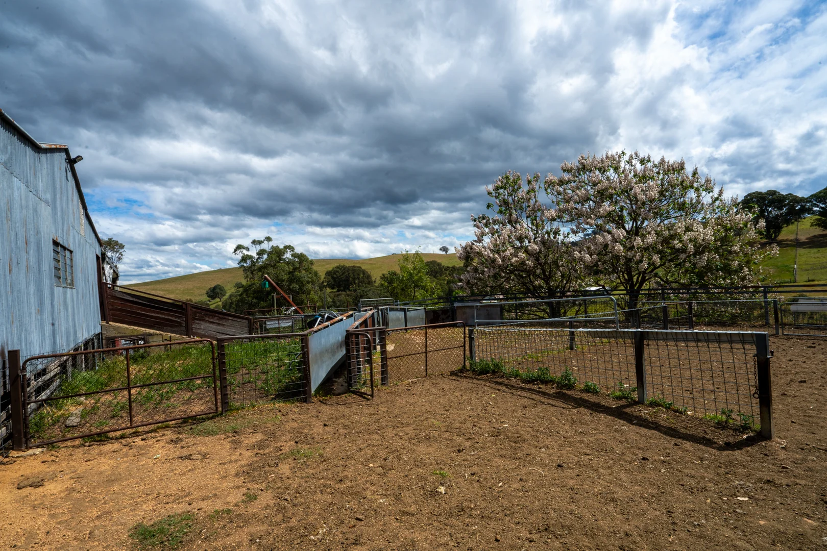 Additional image 14 of 6 Scott Road, Ensay VIC 3895