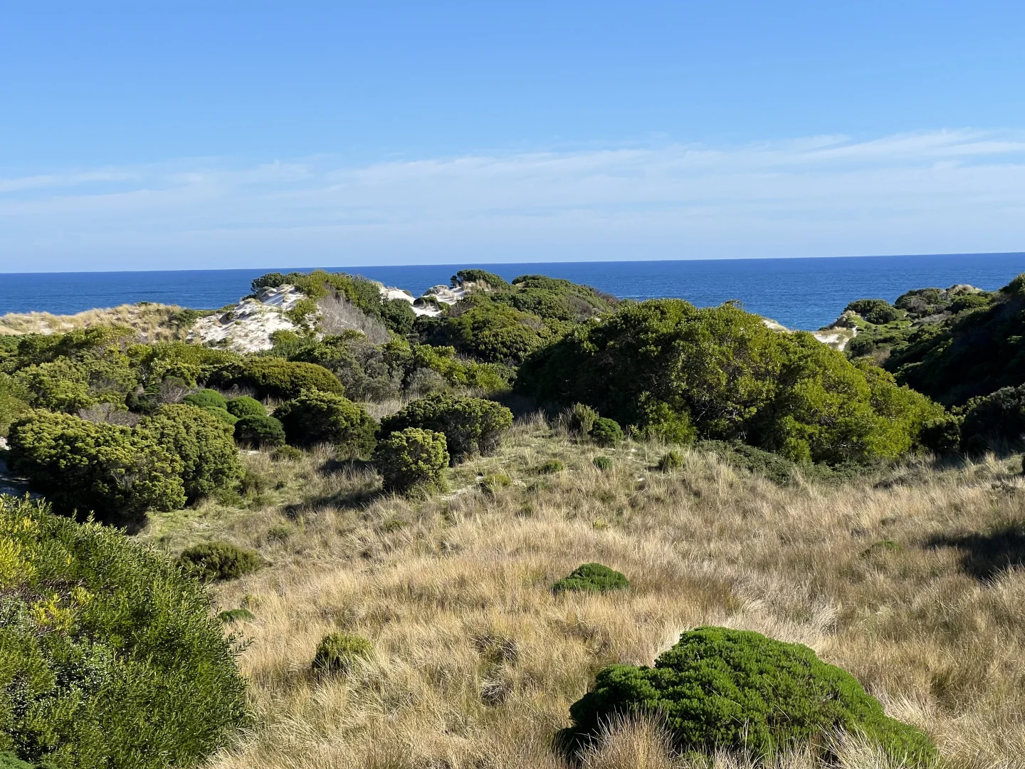 Additional image 3 of 111 Barnes Road, Currie TAS 7256