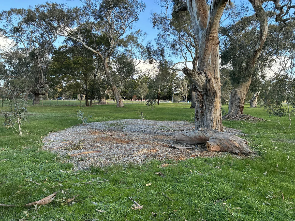 Additional image 8 of 8024 Hamilton Highway, Tarrington VIC 3301