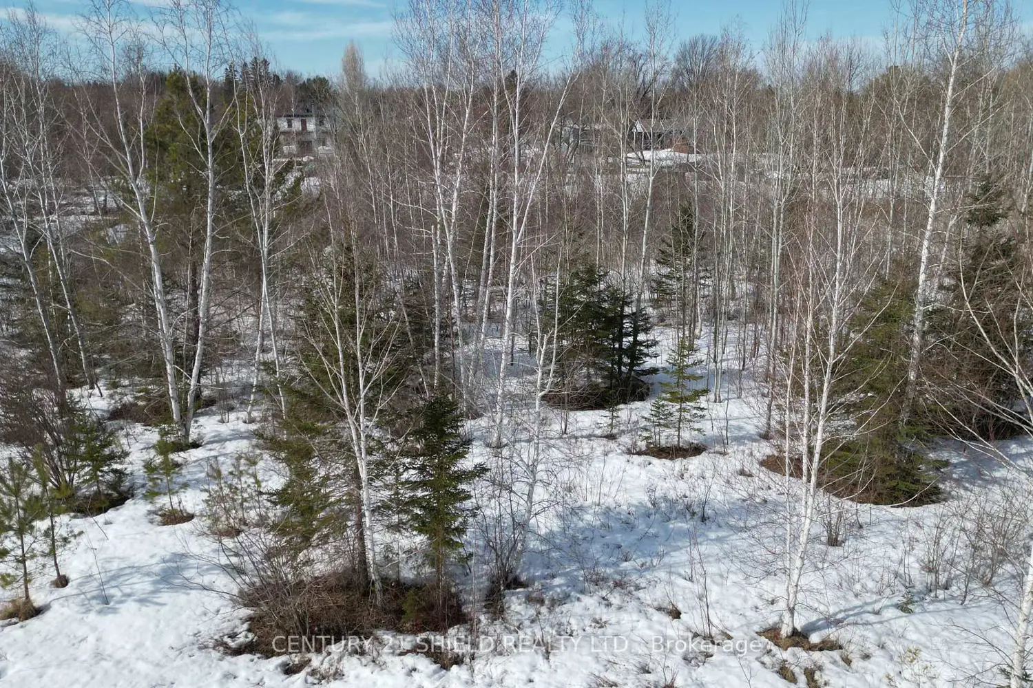 Additional image 7 of 21963 Sauve Street