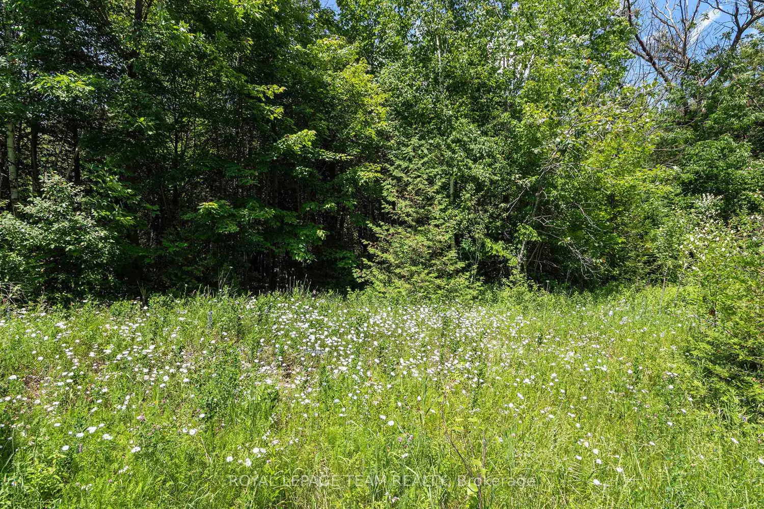 L2- 3575 Paden Road photo 4