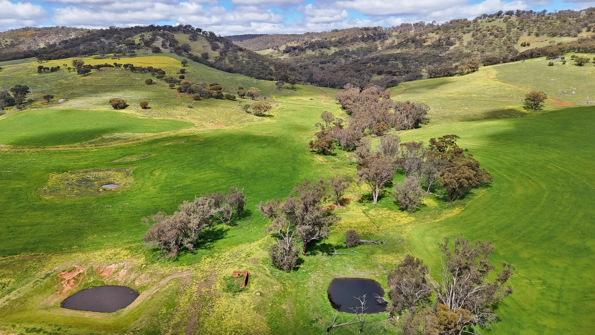 Additional image 12 of - Strathavon, Toodyay WA 6566