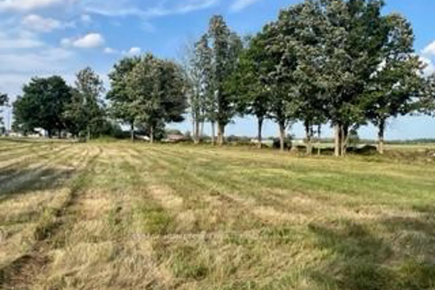 Additional image 12 of 0 Kitley Line 8 Road