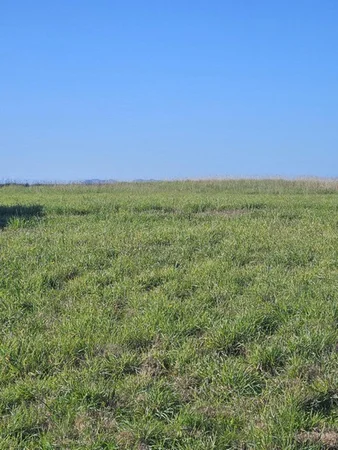 Additional image 8 of 40 Old Spring Bay Road, Swansea TAS 7190