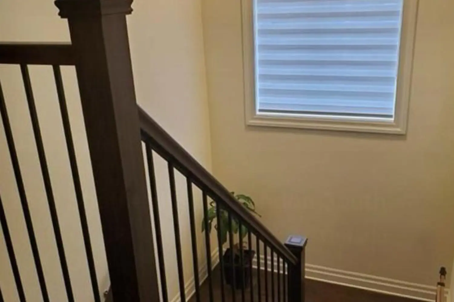 Additional image 5 of 2579 Sheffield Boulevard 21