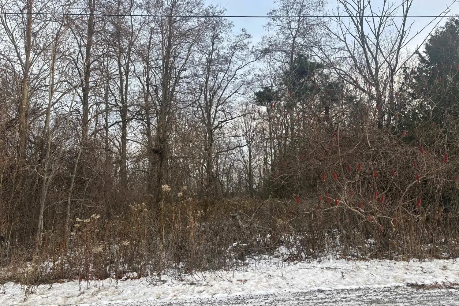 Additional image 6 of 00 Kelwood Lane