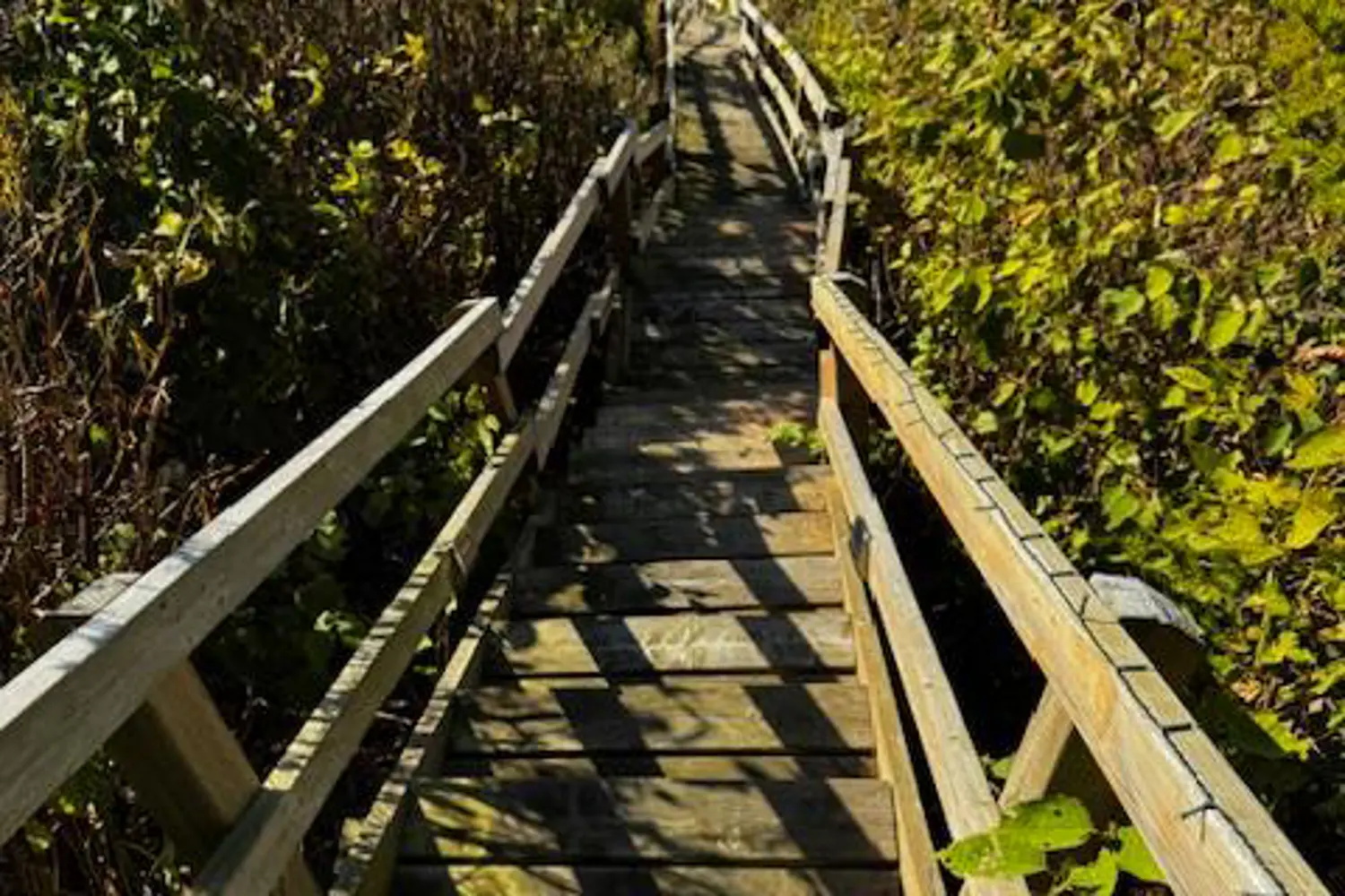 Additional image 5 of 72163 Lakeshore Drive