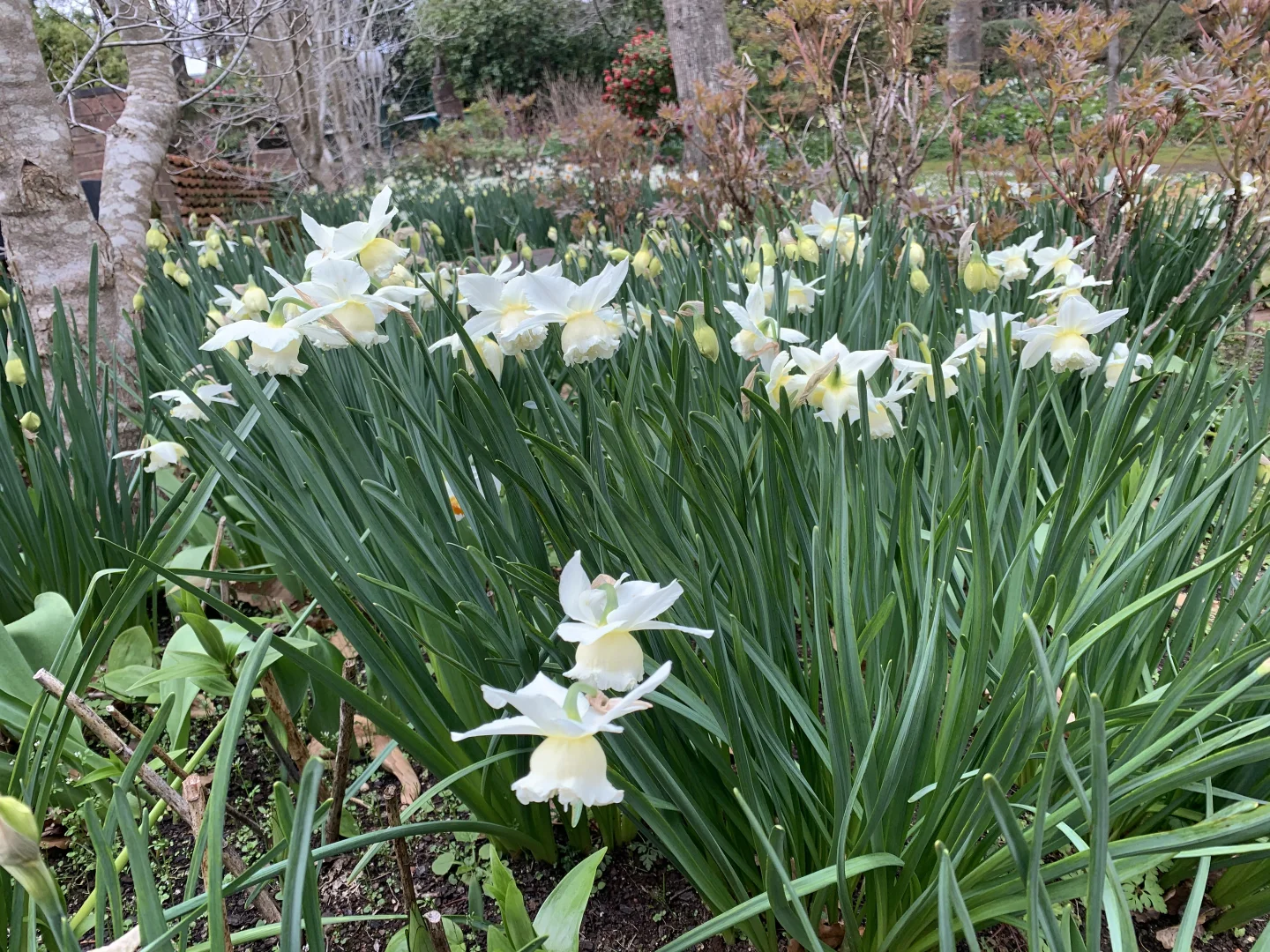 Additional image 24 of 805 Mount Macedon Road, Mount Macedon VIC 3441