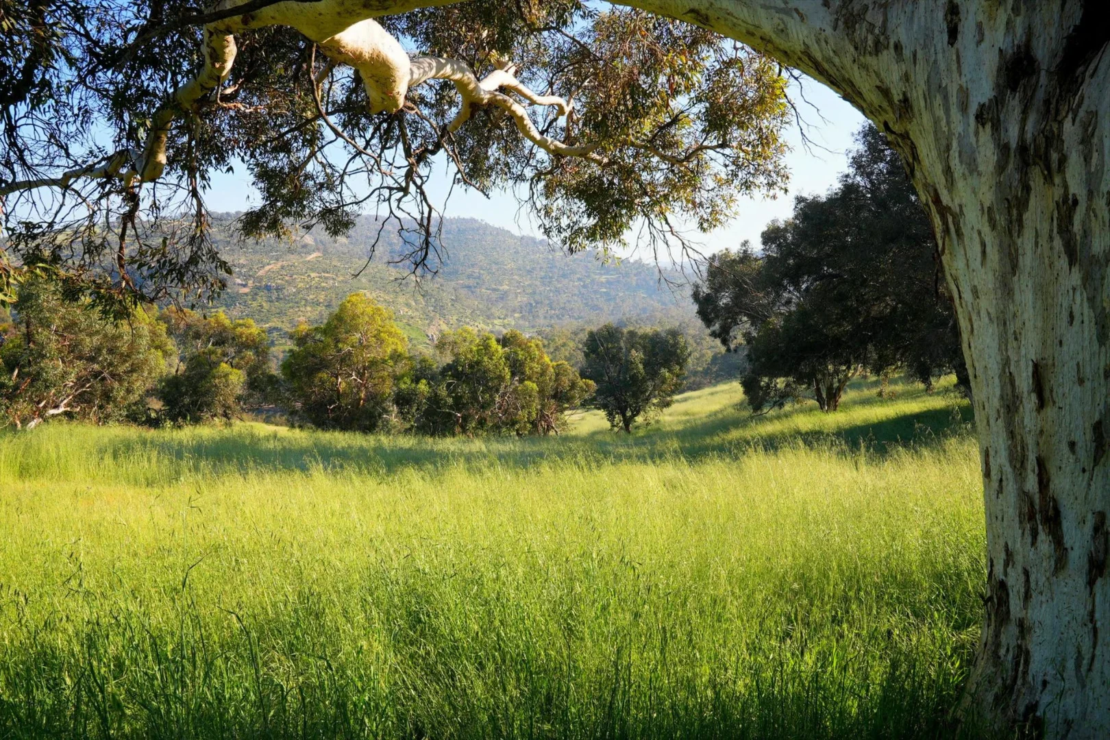 Additional image 10 of 839 Campersic Road, Brigadoon WA 6069