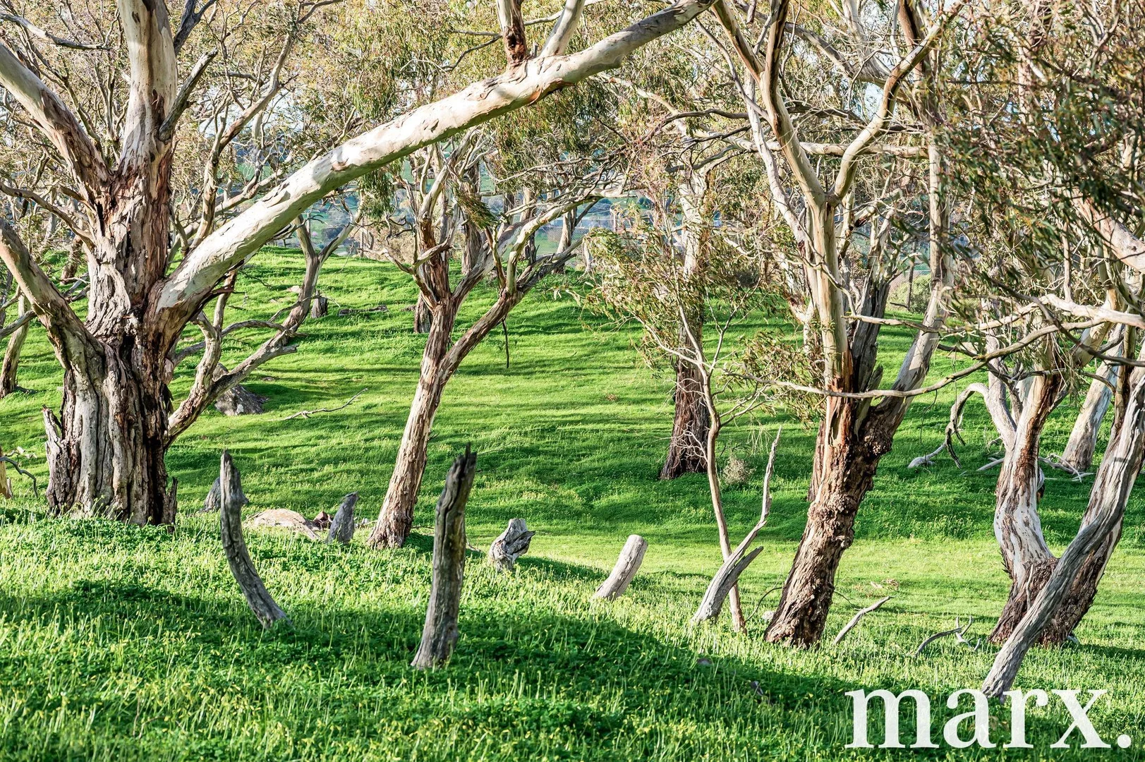 Additional image 23 of 137 Radford Road, Angaston SA 5353