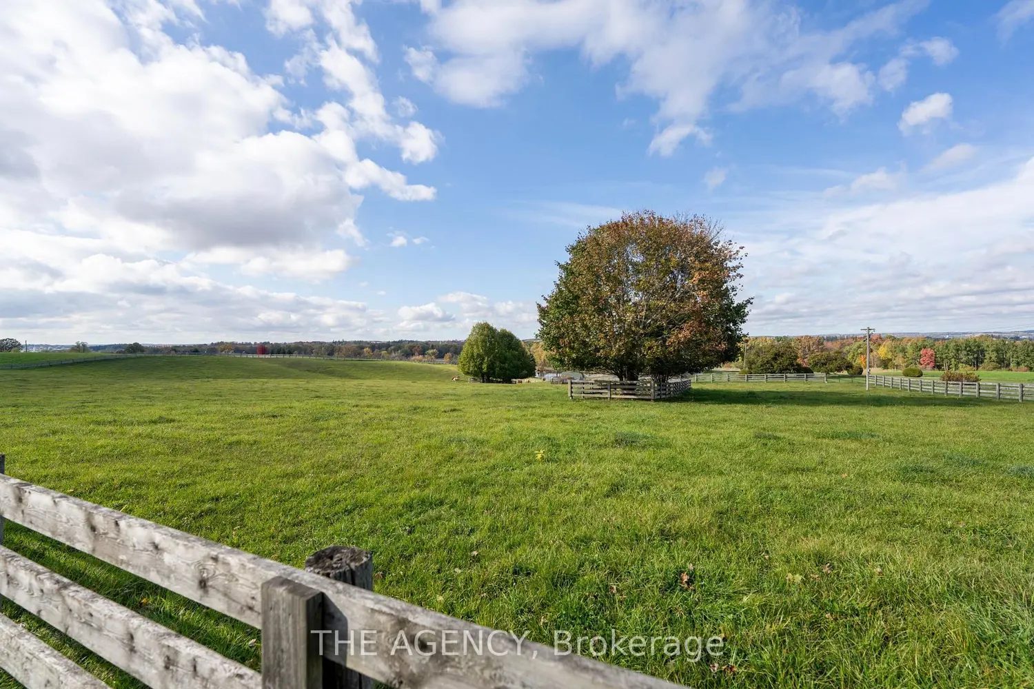 Additional image 19 of 1589 5Th Sideroad