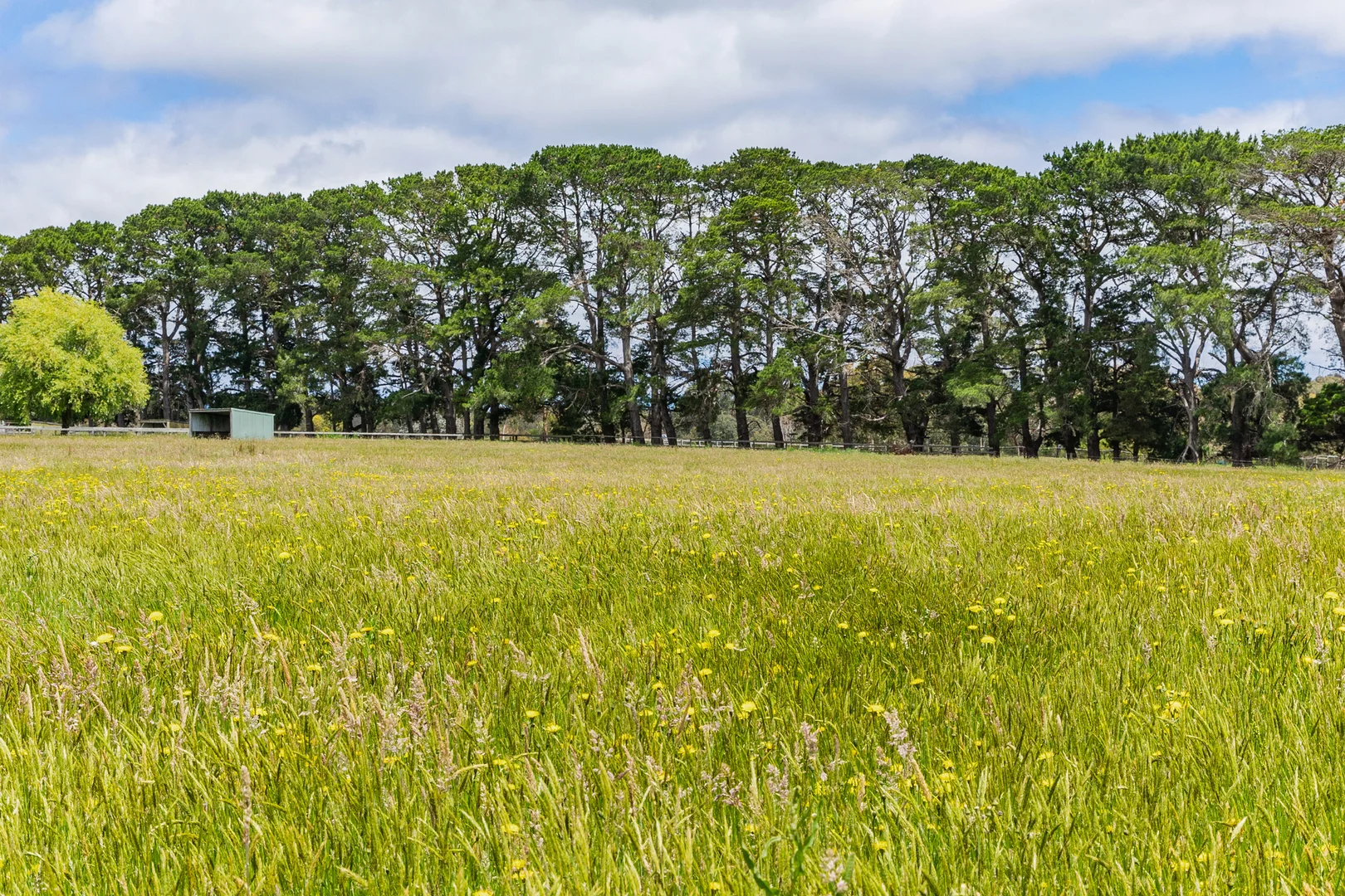 Additional image 3 of 8 Wonderland Avenue, Tuerong VIC 3915