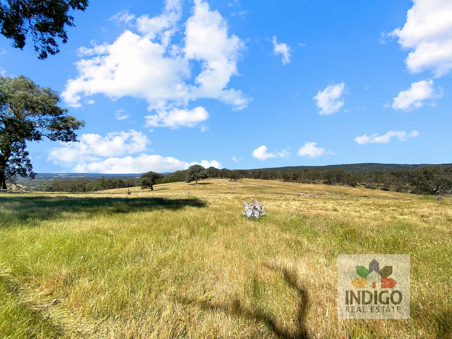 Additional image 8 of 181 Mcfeeters Road, Beechworth VIC 3747