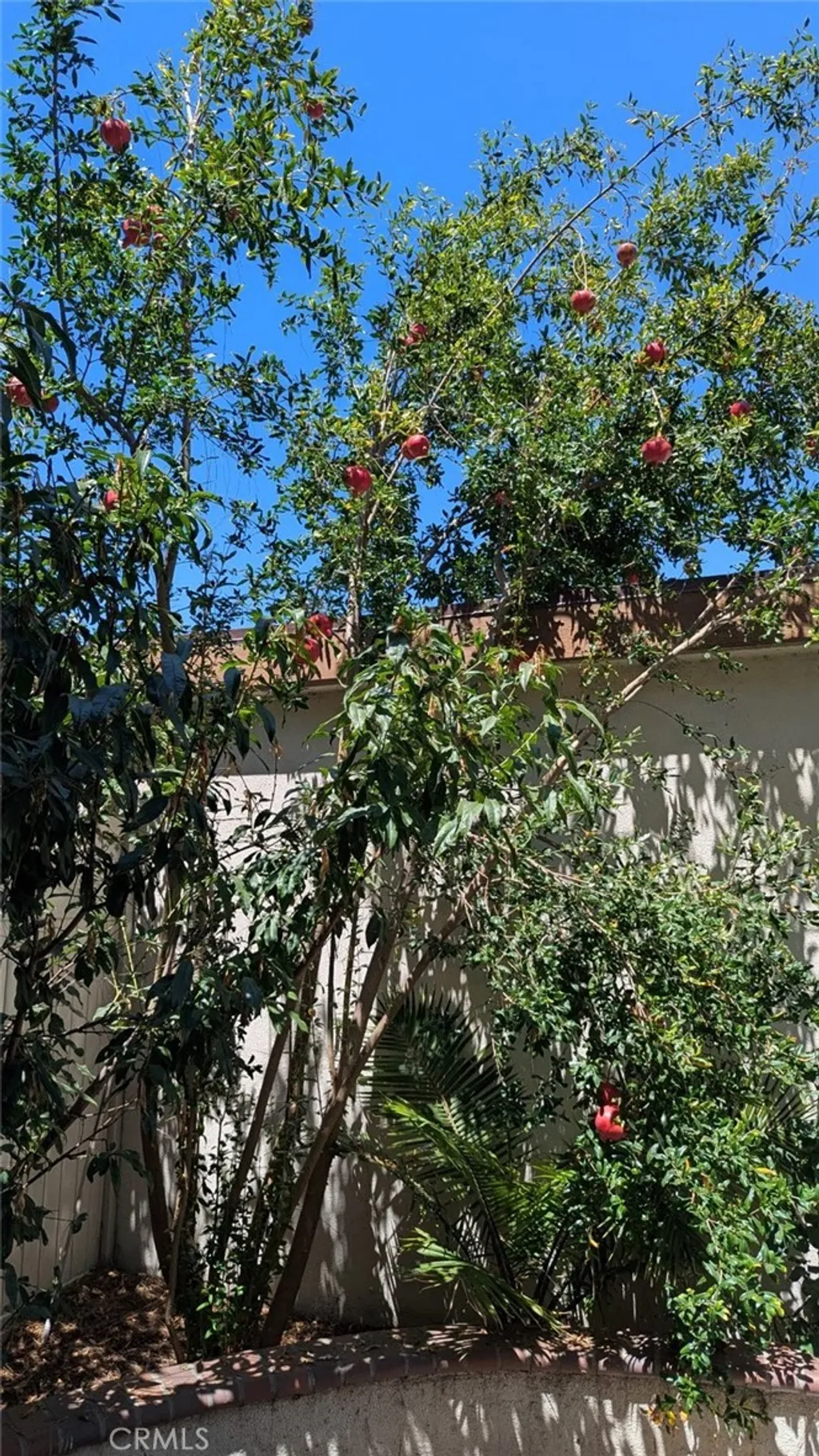 Additional image 17 of 15500 Tustin Village Way Unit 103, Tustin, CA 92780