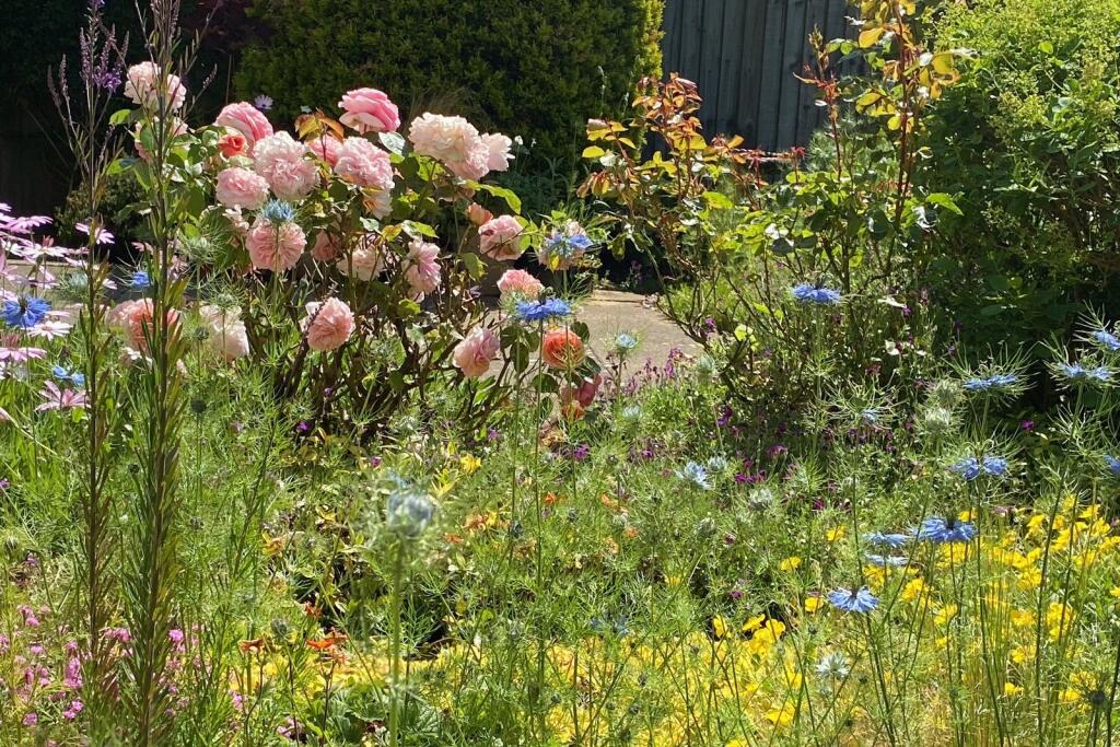 Additional image 10 of Atkins Hill, Wincanton, Somerset, BA9