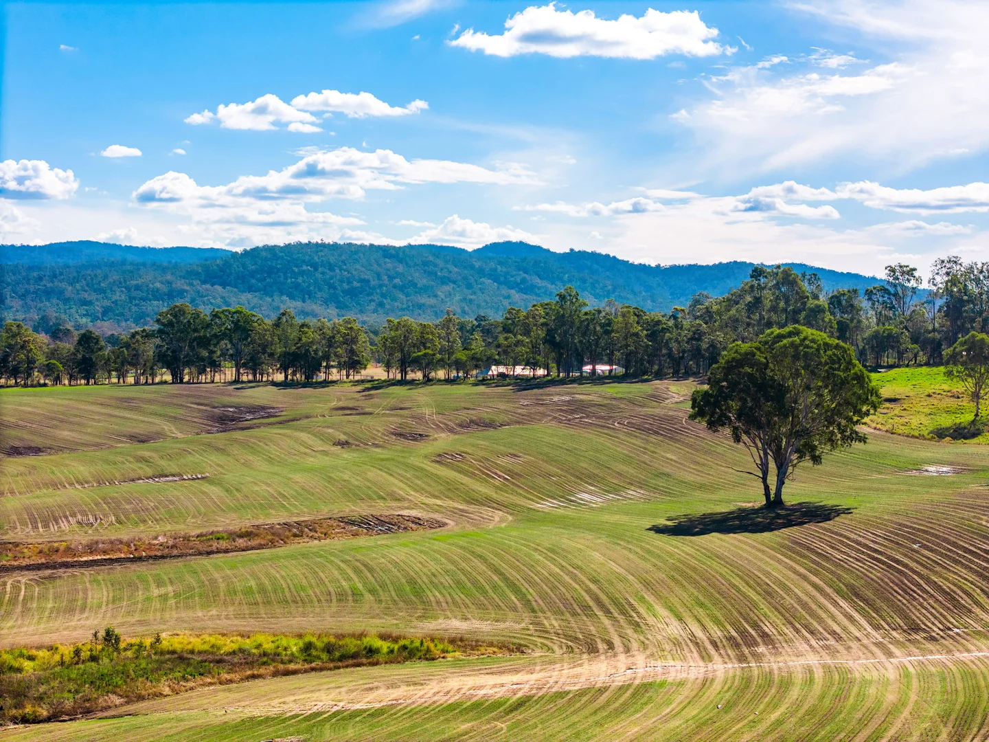 Additional image 31 of 119 Paddys Flat Road, Tabulam NSW 2469