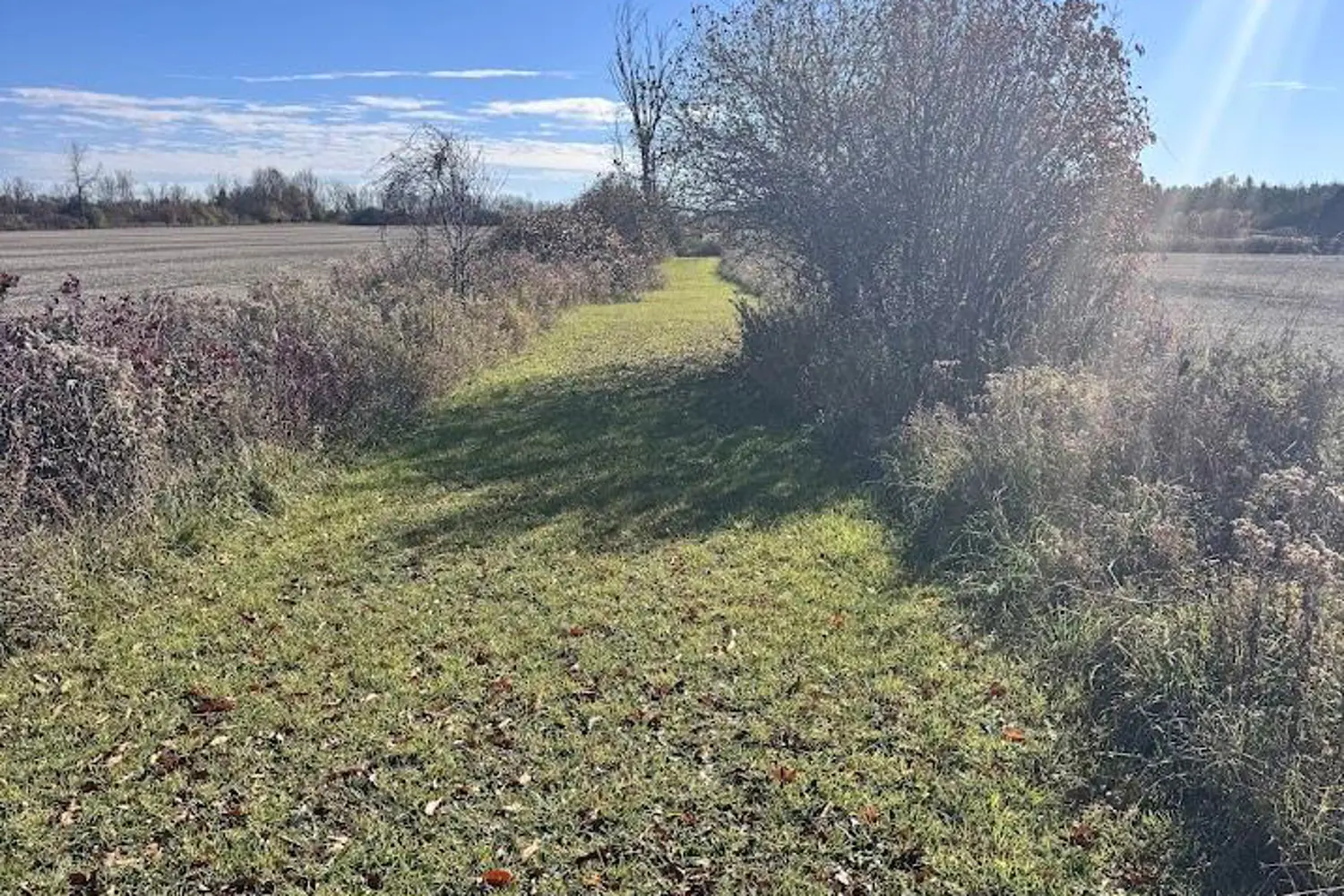 Additional image 10 of 211 Queen Street