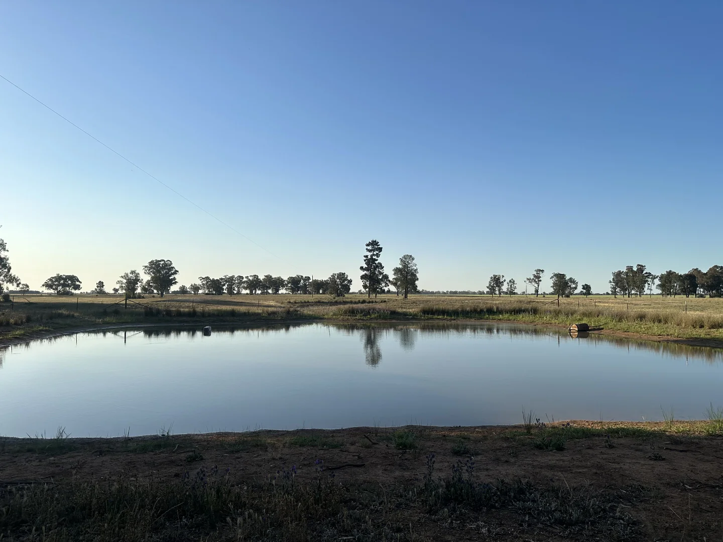 Additional image 14 of Lot 133 Troths Lane, Quandialla NSW 2721