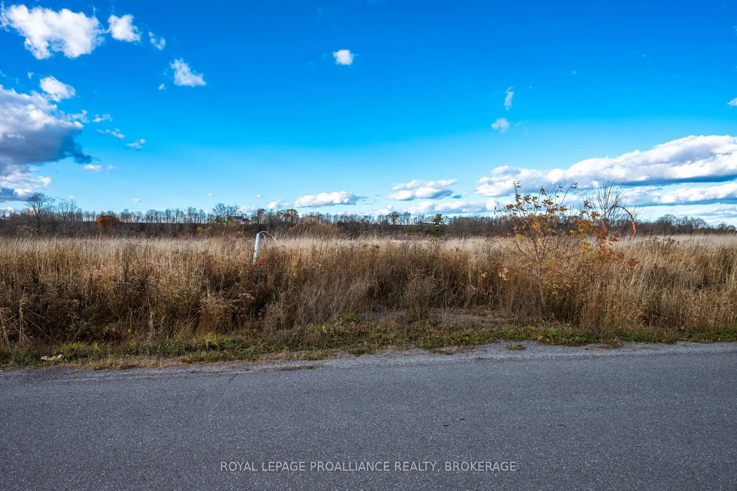 Additional image 17 of 201 Mann Drive