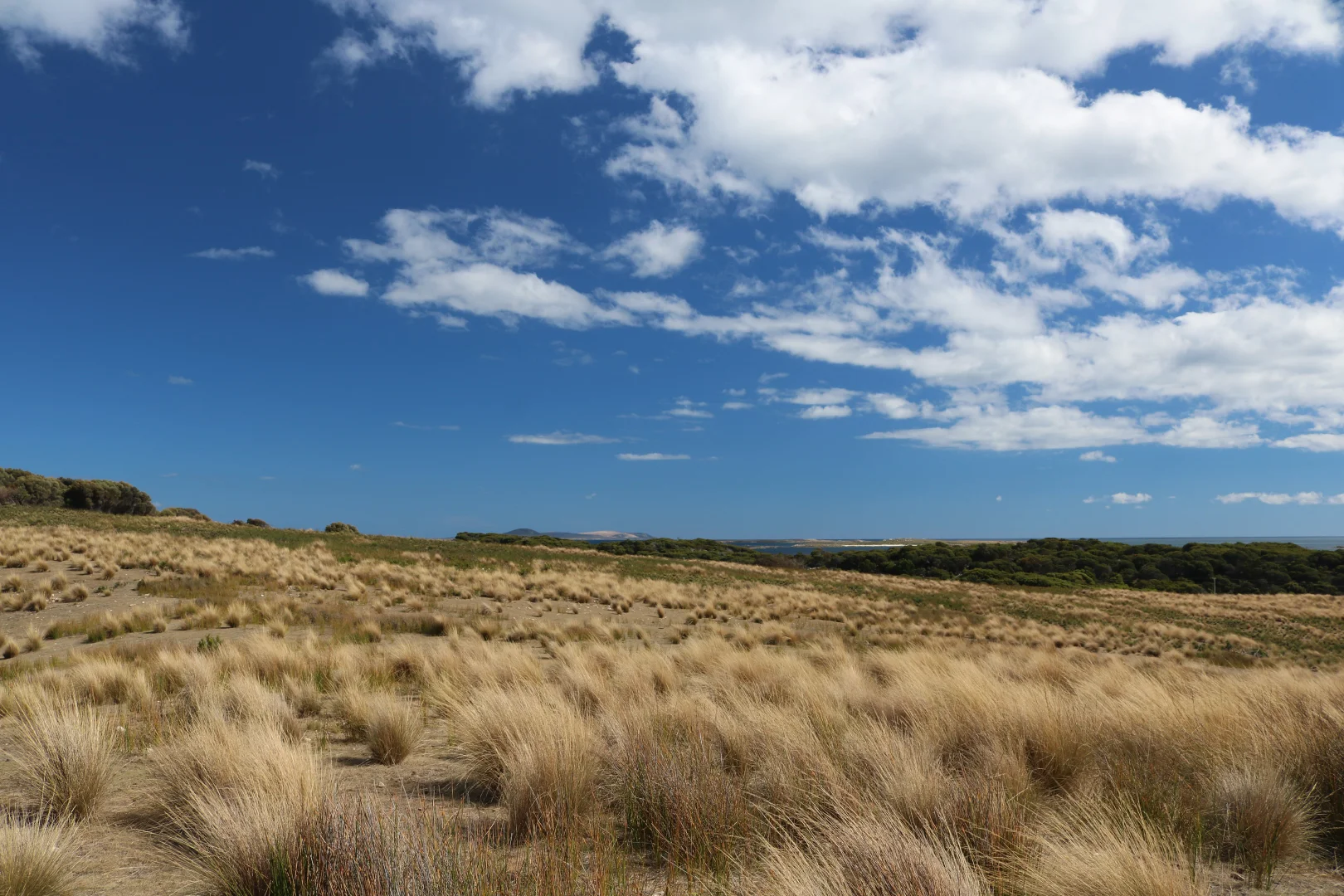 Additional image 10 of Lot 5 West End Road, Leeka TAS 7255