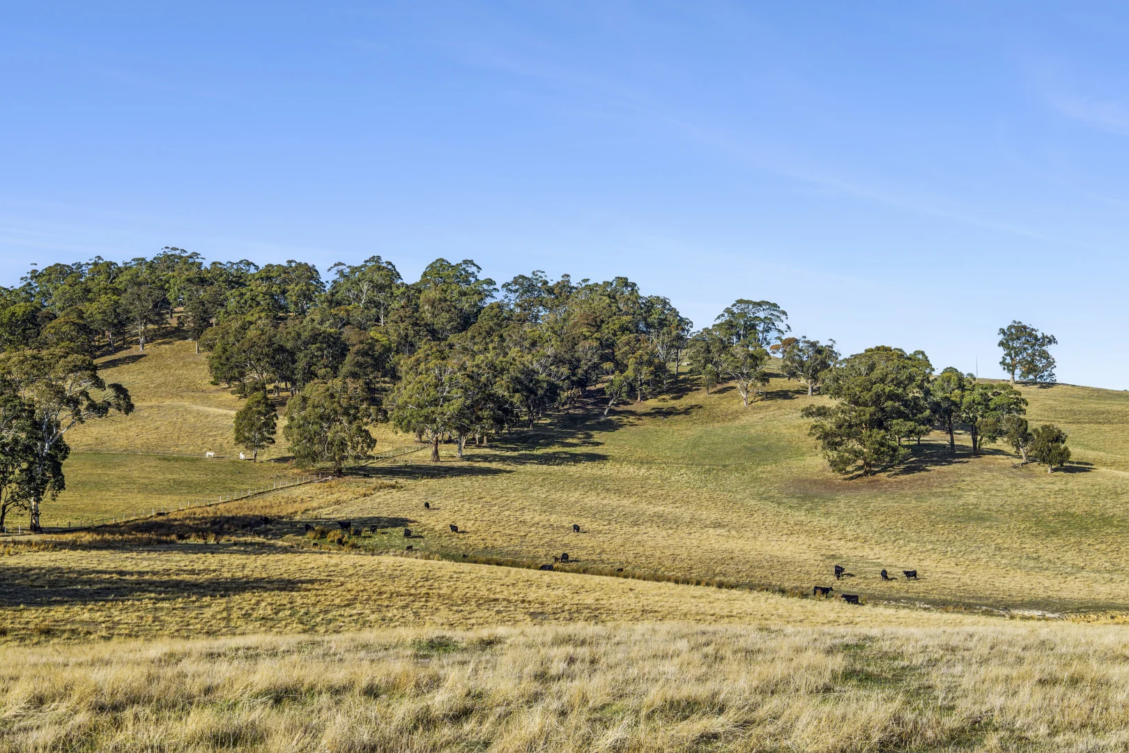 Additional image 5 of 1/104 Holcombe Road, Glenlyon VIC 3461