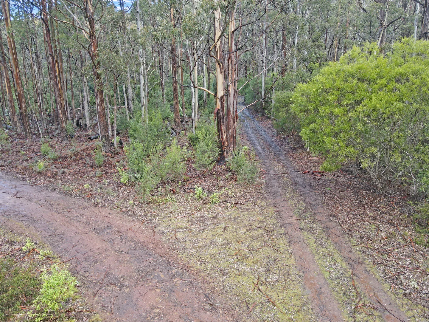 Additional image 2 of PID 6408103 Irish Town Road, St Marys TAS 7215