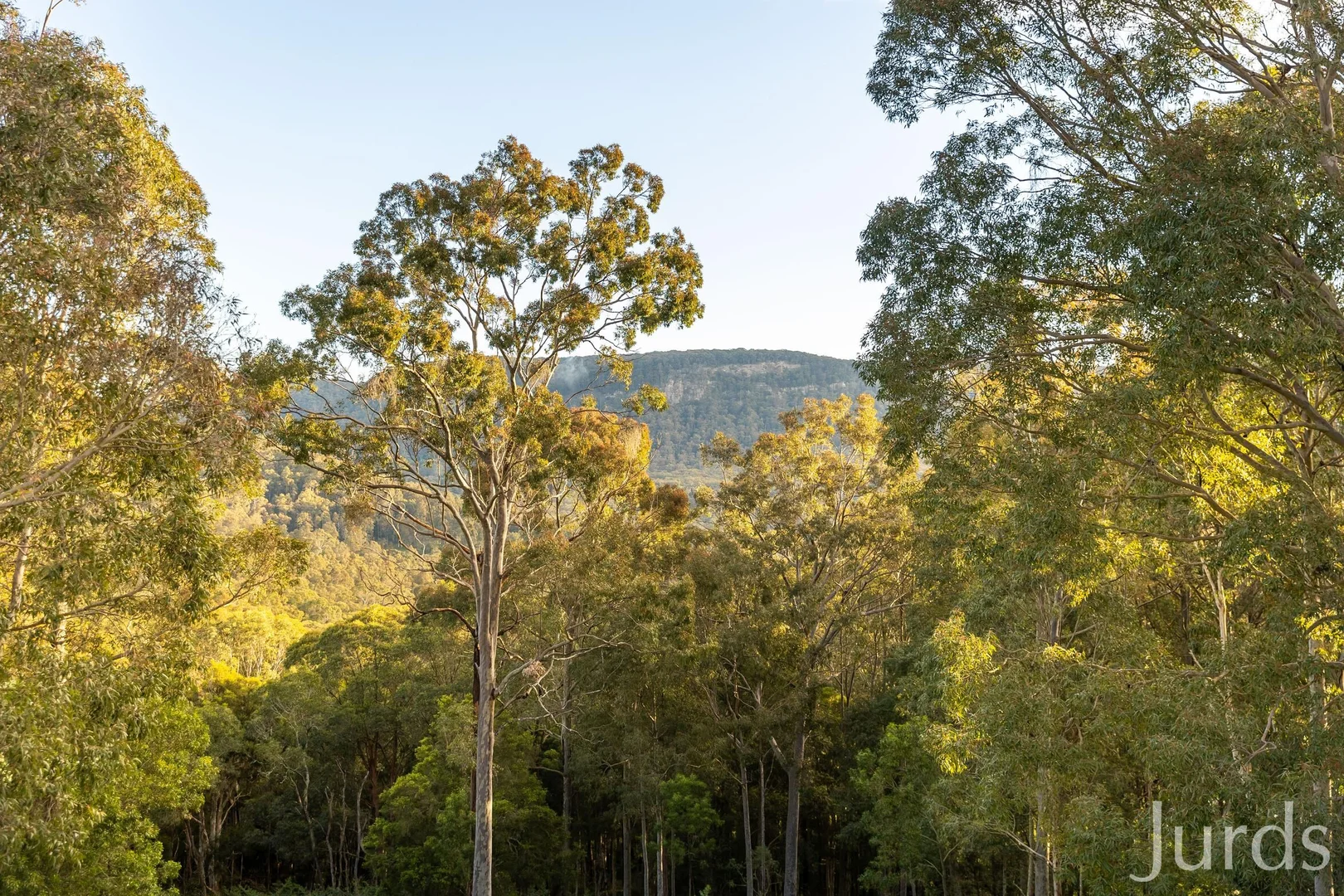 Additional image 9 of 131 Rodney Road, Mount Vincent NSW 2323