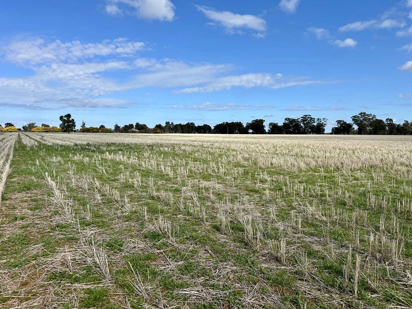 Additional image 13 of 2791 Sturt Highway, Wagga Wagga NSW 2650